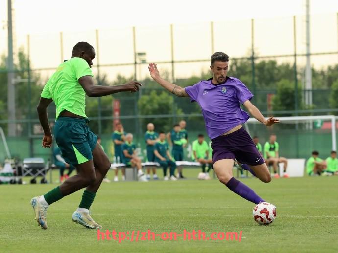 华体会hth登录入口-德甲联赛到底有多少支球队详解