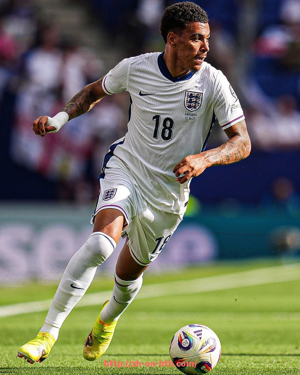 华体会hth登录入口-NBA219版本相关内容及更新简介